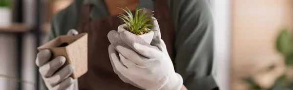 Vista recortada de florista afroamericano en guantes de trabajo sosteniendo pequeña planta y maceta con tierra, pancarta - foto de stock