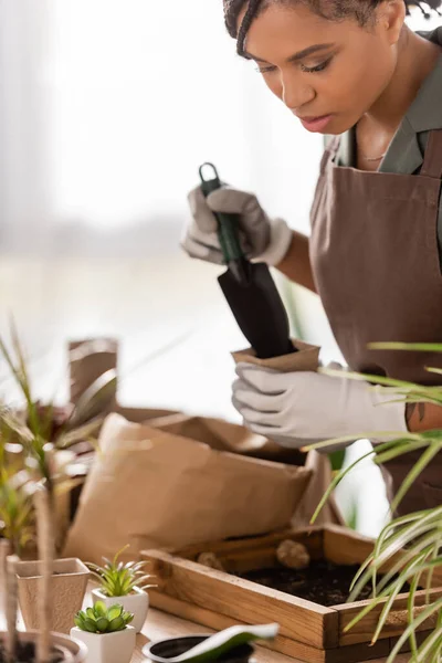 African american florist holding garden scoop and flowerpot near wooden box with soil and blurred plants — Stock Photo