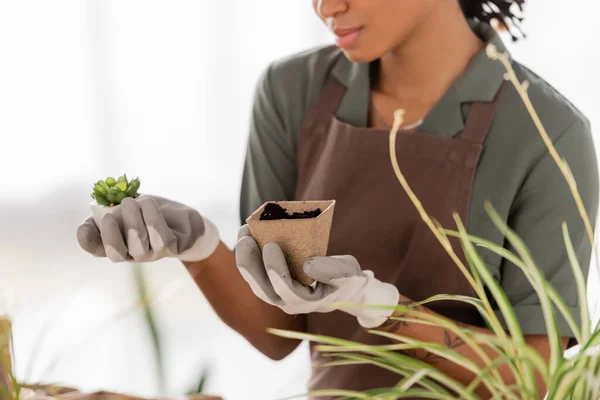 Partial view of african american florist holding small plant and flowerpot with soil near green leaves on blurred foreground — Stock Photo