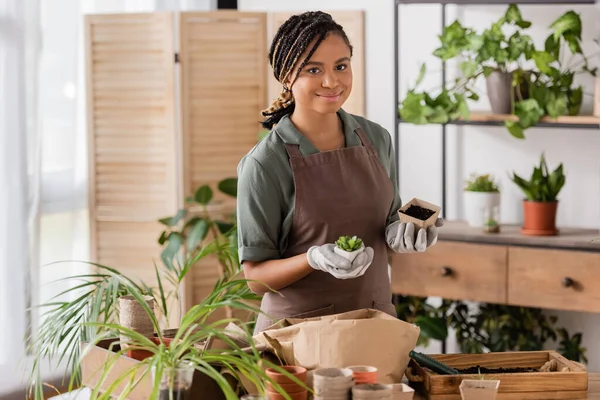 Floristería afroamericana bonita en guantes de trabajo sosteniendo planta y maceta mientras mira la cámara en el lugar de trabajo en la tienda de flores - foto de stock