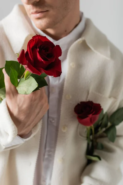 Cropped view of blurred man in white soft jacket holding red roses isolated on grey — Stock Photo