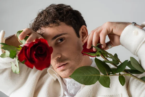 Стильний чоловік у білому одязі затемнює обличчя червоними трояндами, дивлячись на камеру ізольовано на сірому — стокове фото