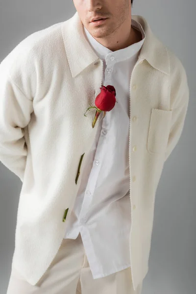 Cropped view of man in white shirt and jacket decorated with red rose standing with hands behind back isolated on grey — Stock Photo