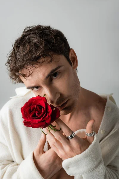 Brunette man in silver finger rings and white jacket on shirtless body holding red rose near face and looking at camera isolated on grey — Foto stock