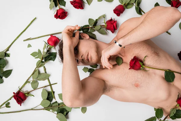 Top view of sexy muscular man obscuring face and looking at camera near red roses on white background — Stock Photo