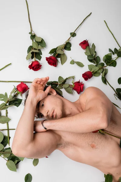 Top view of sexy shirtless man in silver bracelet lying near red fresh roses on white background - foto de stock