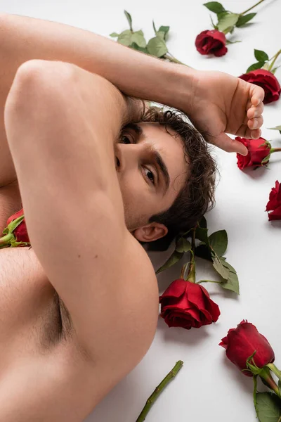 High angle view of sexy shirtless man obscuring face and looking at camera while lying near red roses on white background — Stock Photo