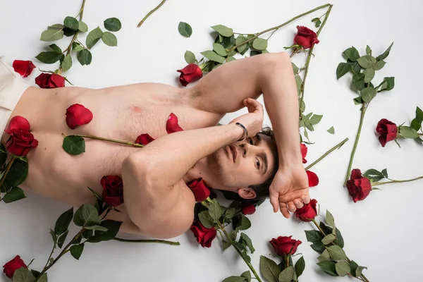 Top view of sexy shirtless man lying with hands near face and looking at camera near red roses on white background — Stock Photo