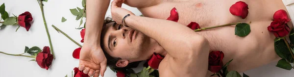 Top view of brunette shirtless man lying near red fresh roses while looking at camera on white background, banner - foto de stock
