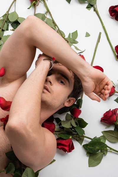Top view of shirtless and sexy man obscuring face with hands and looking at camera near red roses on white background — Foto stock