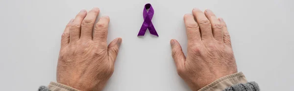 Top view of cropped male hands near purple alzheimer disease awareness ribbon on white surface, banner - foto de stock