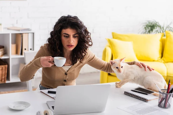 Copywriter focalizado segurando xícara de café perto de gato oriental e laptop em casa — Fotografia de Stock