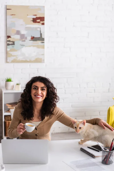 Smiling freelancer holding coffee and petting oriental cat near devices at home — Fotografia de Stock