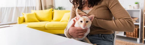 Cropped view of woman petting oriental cat in living room, banner — Photo de stock