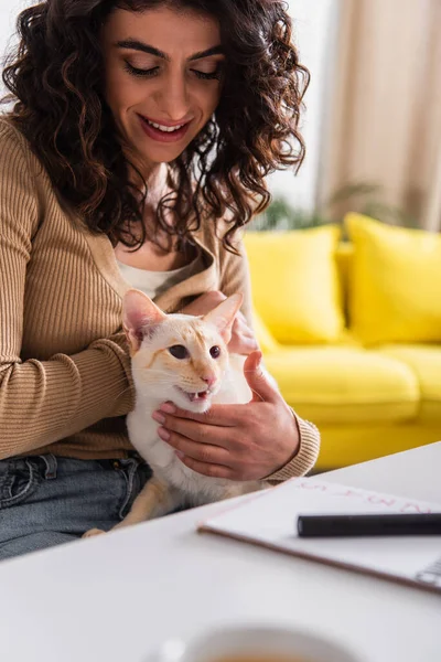 Smiling woman petting oriental cat near blurred notebook on table — Fotografia de Stock