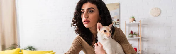 Donna bruna che tiene il gatto orientale e distoglie lo sguardo da casa, banner — Foto stock