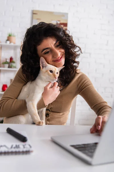 Positive woman holding oriental cat and using blurred laptop at home — Stock Photo