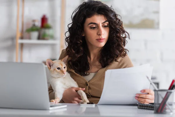Morena copywriter segurando oriental gato e papéis perto de laptop em casa — Fotografia de Stock