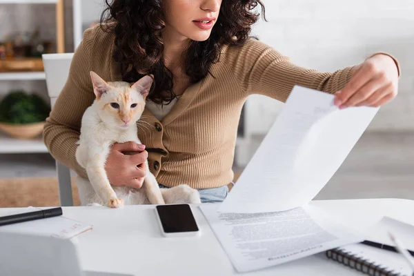 Vue recadrée du rédacteur tenant du papier et du chat oriental près des appareils à la maison — Photo de stock