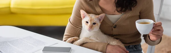 Cropped view of copywriter holding oriental cat and cup of coffee near cellphone and papers, banner — Stock Photo