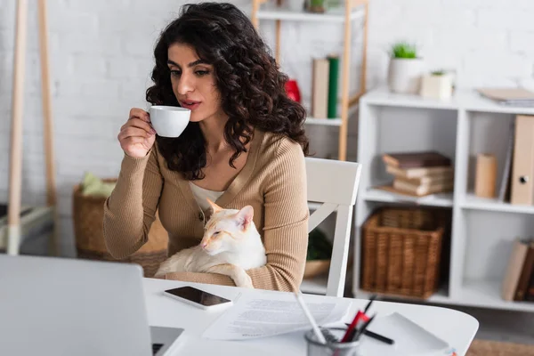 Brunette copywriter holding coffee and oriental cat near devices and papers at home — Photo de stock