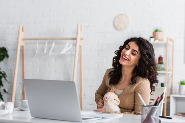 Redator alegre segurando gato oriental e olhando para laptop perto de papéis e fones de ouvido em casa — Fotografia de Stock