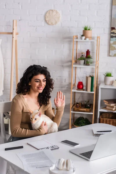 Copywriter sorrindo segurando gato oriental e tendo chamada de vídeo no laptop — Fotografia de Stock