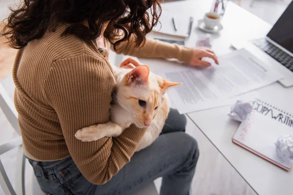 Cropped view of copywriter holding oriental cat near blurred papers and laptop at home — Stock Photo