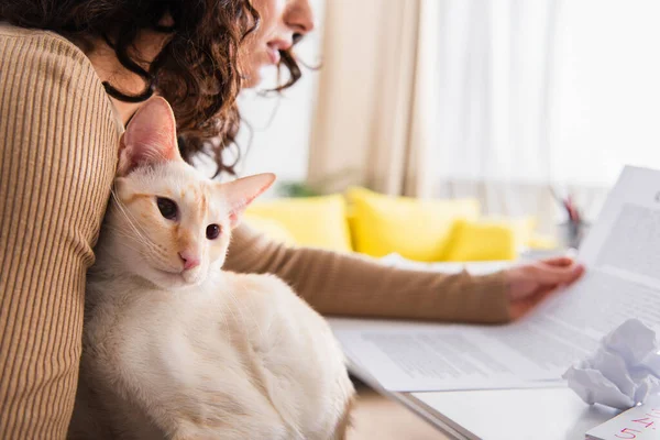 Cropped view of oriental cat sitting near woman holding papers at home — Fotografia de Stock