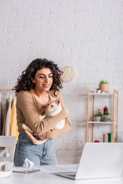 Freelancer positivo segurando gato oriental perto de laptop em casa — Fotografia de Stock