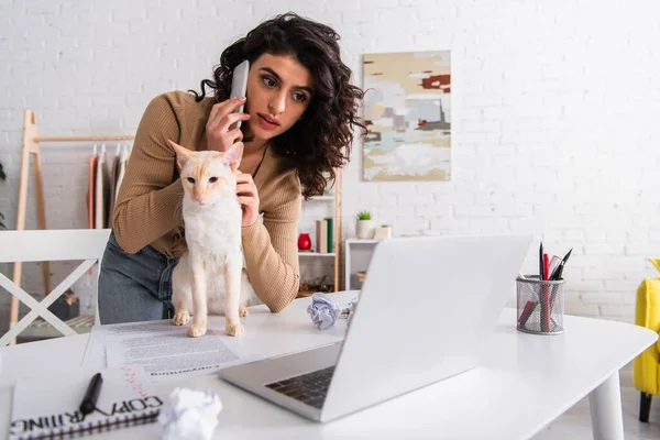 Copywriter talking on smartphone near laptop and oriental cat at home — Stock Photo