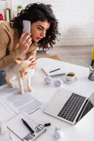 Copywriter talking on cellphone near oriental cat and laptop in living room — Stock Photo