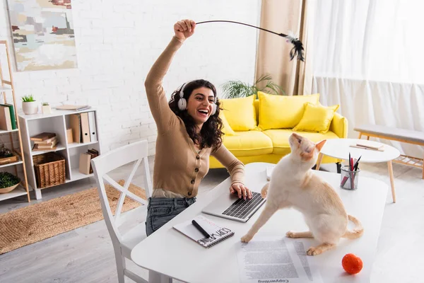 Smiling freelancer in headphones playing with oriental cat near papers and laptop at home — Photo de stock
