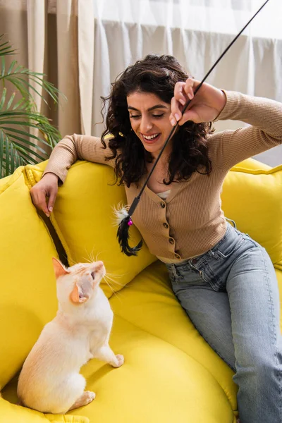 Smiling woman playing with oriental cat while sitting on couch at home — Stock Photo