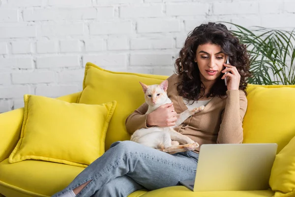 Copywriter talking on smartphone and holding oriental cat near laptop at home — Photo de stock