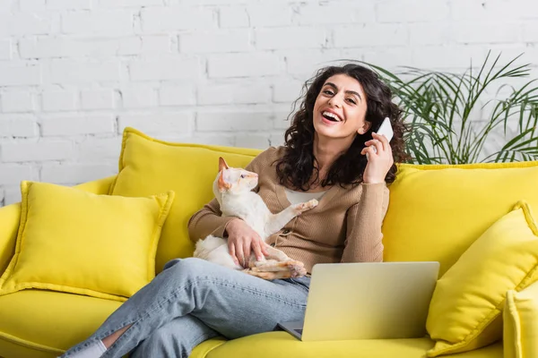 Cheerful freelancer holding smartphone and oriental cat near laptop on couch — Photo de stock