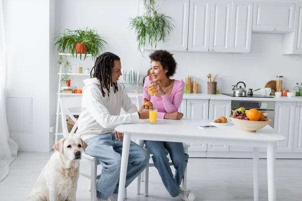 Улыбающаяся африканская американская пара разговаривает у завтрака и лабрадор дома — стоковое фото