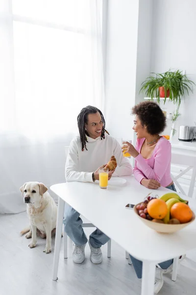 Позитивная африканская американская пара разговаривает рядом с завтраком и лабрадор на кухне — стоковое фото