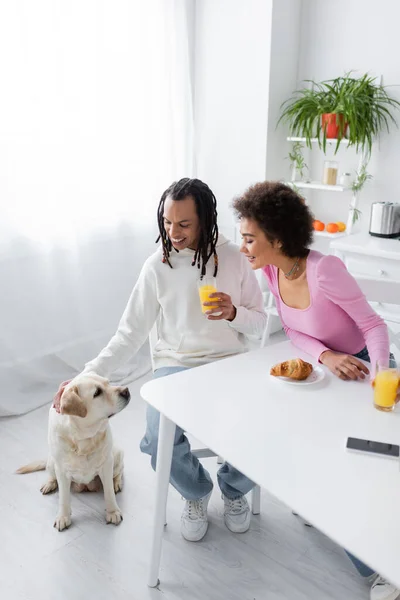 Smiling african american couple looking at labrador near breakfast and smartphone in kitchen - foto de stock