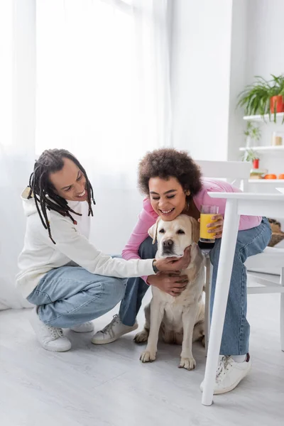 Cheerful african american couple with orange juice hugging labrador at home - foto de stock