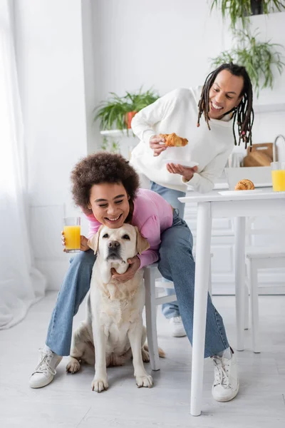 Fröhliche Afroamerikanerin hält Orangensaft in der Hand und umarmt Labrador neben Freund zu Hause — Stockfoto