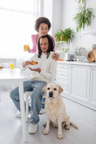 Lächelnde Afroamerikanerin hält Orangensaft in der Hand und umarmt Freund neben Labrador in der Küche — Stockfoto