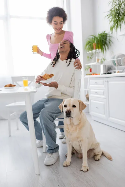 Labrador sentado cerca de alegre pareja afroamericana durante el desayuno en la cocina - foto de stock