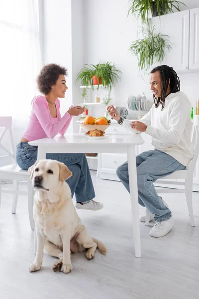Позитивная африканская американская пара разговаривает рядом с завтраком и собака-лабрадор на кухне — стоковое фото