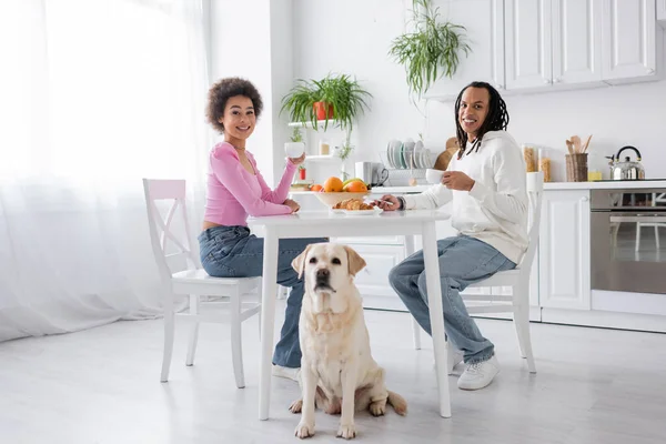 Sonriente pareja afroamericana sosteniendo café cerca de labrador en cocina - foto de stock