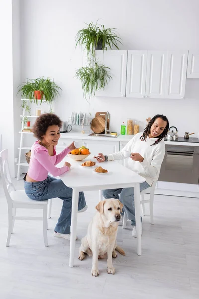 Улыбающаяся африканская американская пара с сотовым телефоном смотрит на лабрадора во время завтрака на кухне — стоковое фото