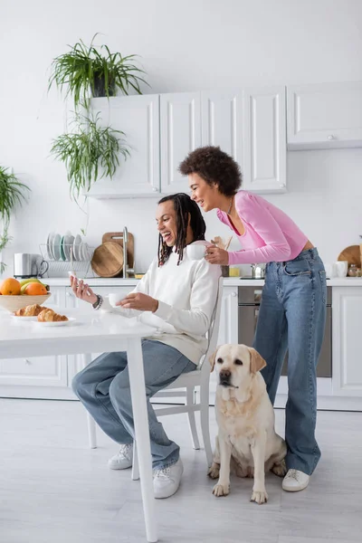 Весела афроамериканська пара користується смартфоном і тримає каву біля лабрадора на кухні. — стокове фото