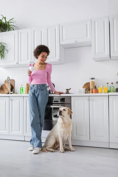 Mulher afro-americana positiva olhando para labrador enquanto segura café na cozinha — Fotografia de Stock