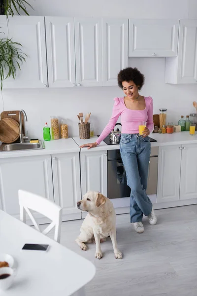 Femme afro-américaine positive tenant du jus d'orange près du labrador dans la cuisine — Photo de stock