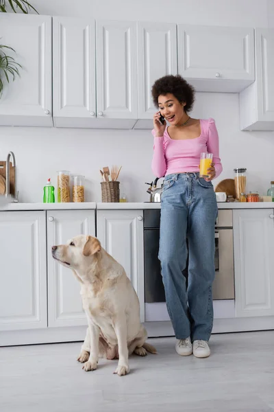 Emocionada mujer afroamericana hablando en smartphone y sosteniendo jugo de naranja cerca de labrador en la cocina - foto de stock